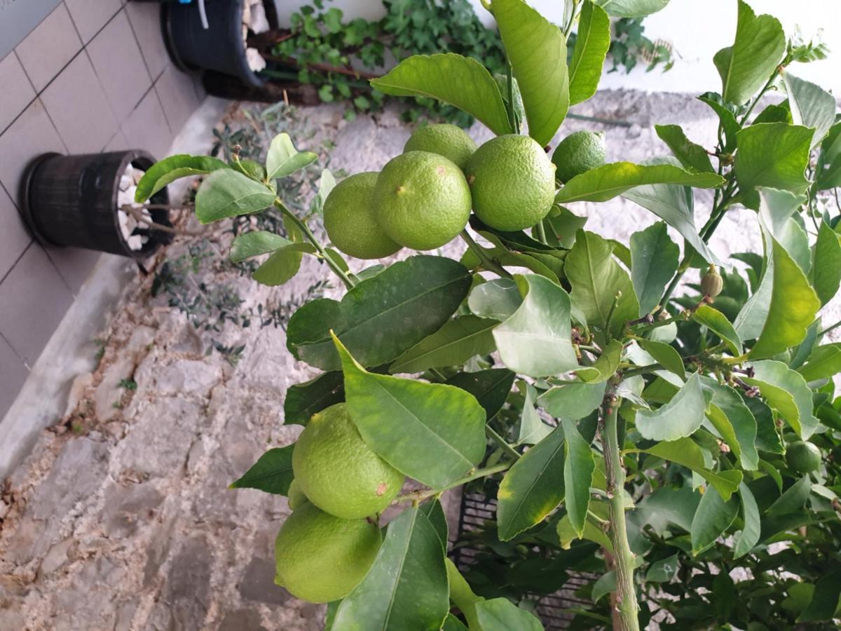 Lemon Tree Hotel Seget Donji Exterior photo